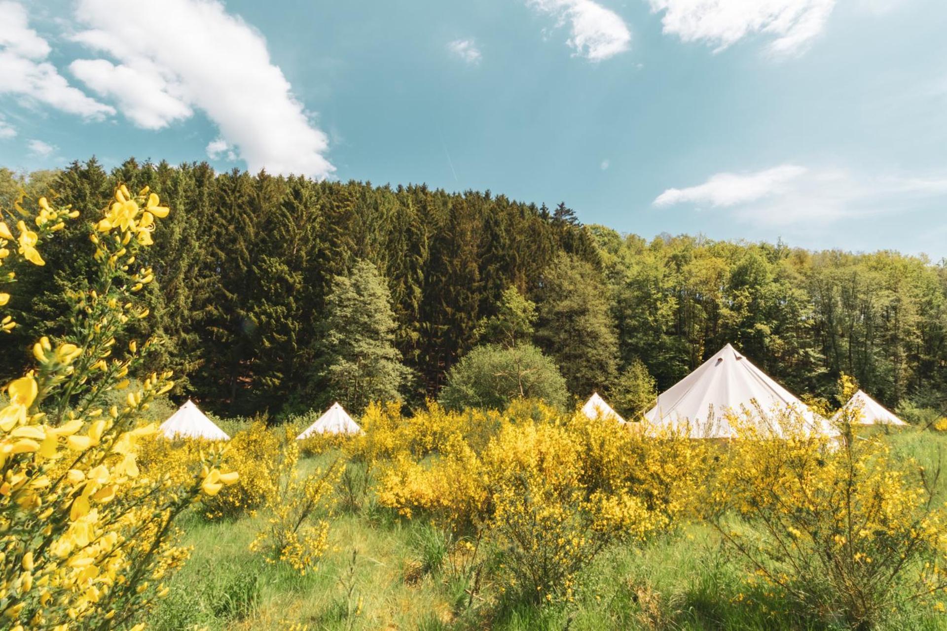 Daft Boutique Hotel & Glamping Malmedy Exterior photo